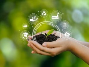 Taller práctico de gestión ambiental: Sistema de gestión ambiental según UNE-EN ISO 14001:2015