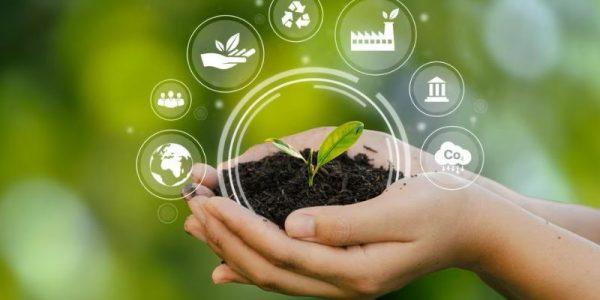 Taller práctico de gestión ambiental: Sistema de gestión ambiental según UNE-EN ISO 14001:2015