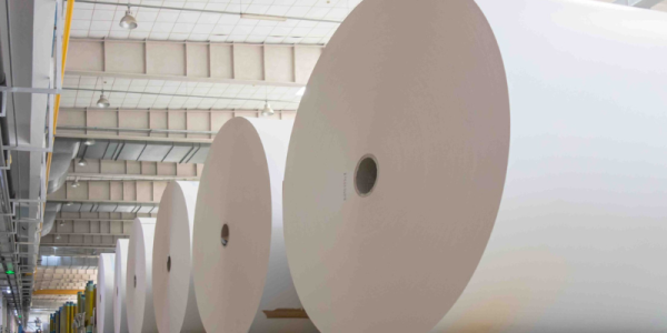 Tratamientos superficiales del papel (TF)