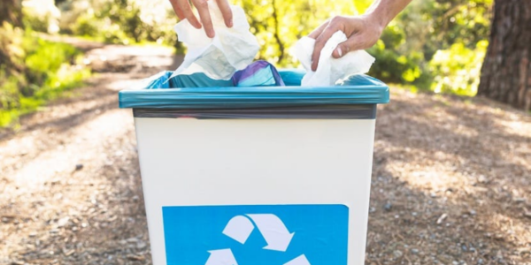 Recuperación del papel y su utilización para obtener pastas recicladas (TF)